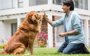 dog training in North Palm Beach - Giving a dog a bone