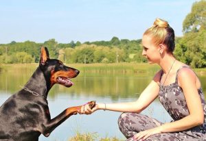 Dog Training in north palm beach - giving a dog a bone